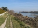 bords de Loire à l'Est de Meung